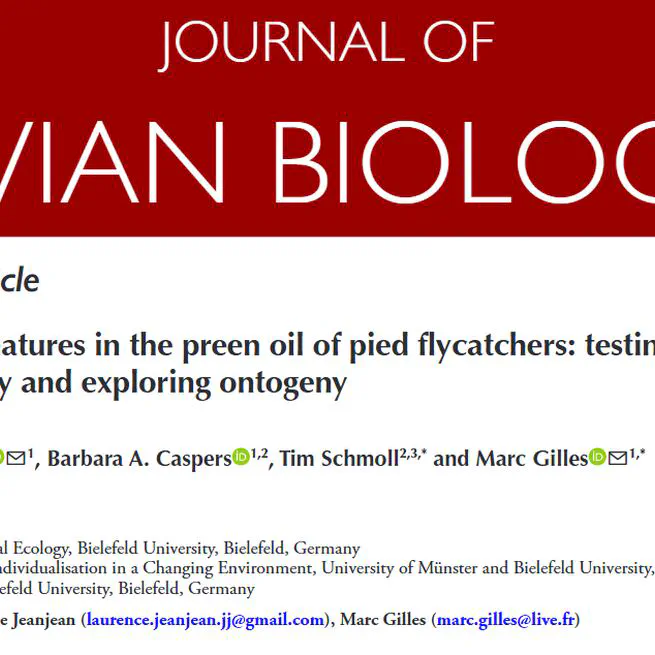 New paper!