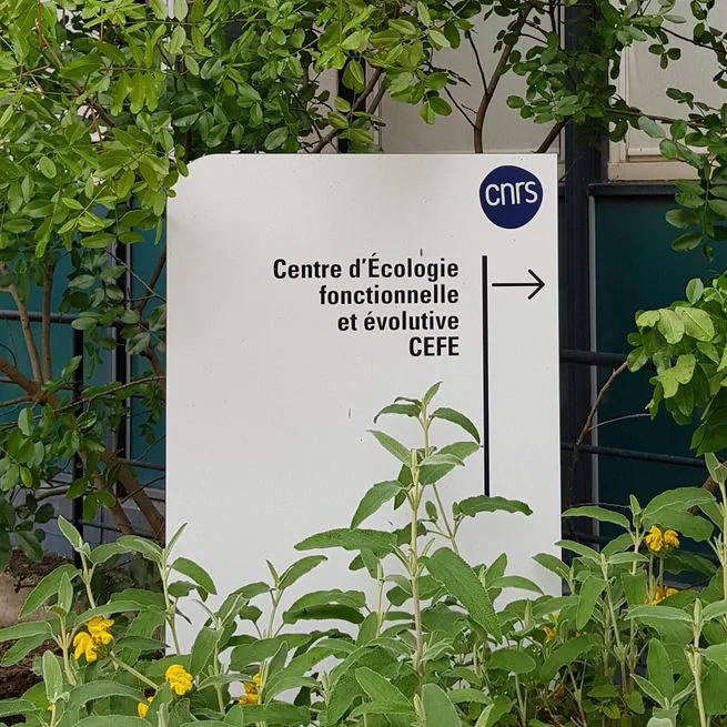 Talk at CEFE-CNRS Monptellier