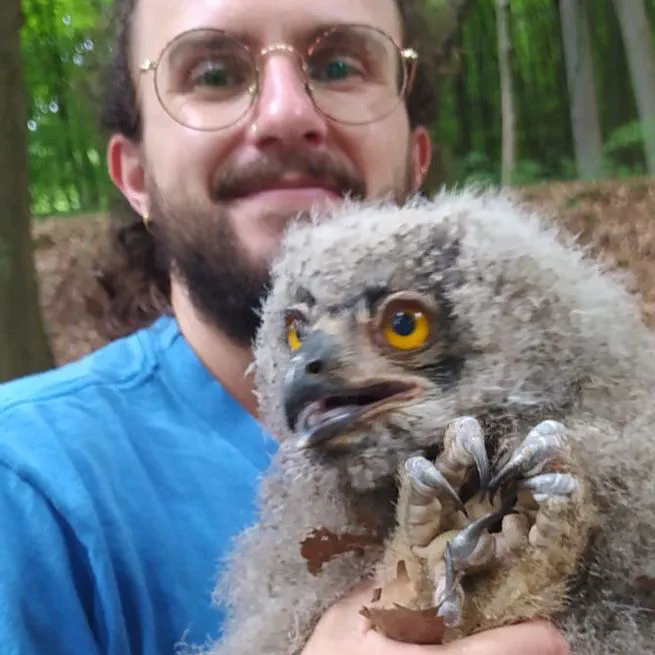 Ringing buzzard and eagle owl chicks