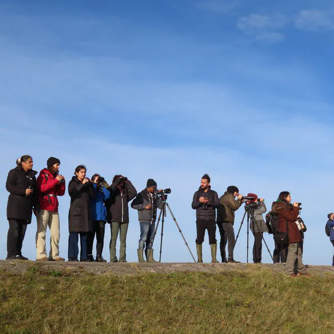 Field course at the Wadden Sea