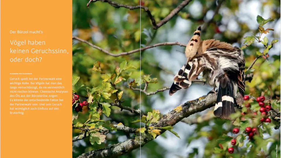 Our research in the news!