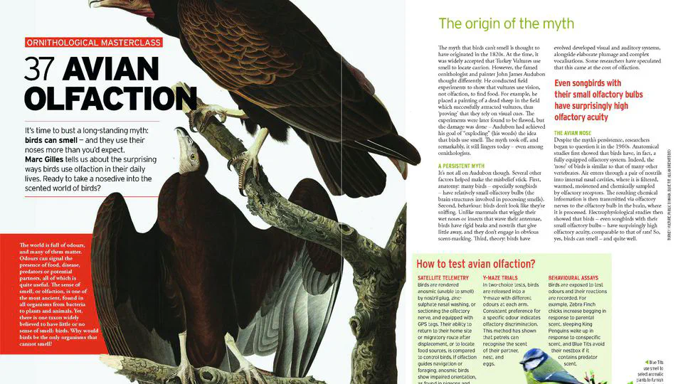 Masterclass on Avian Olfaction in BTO News