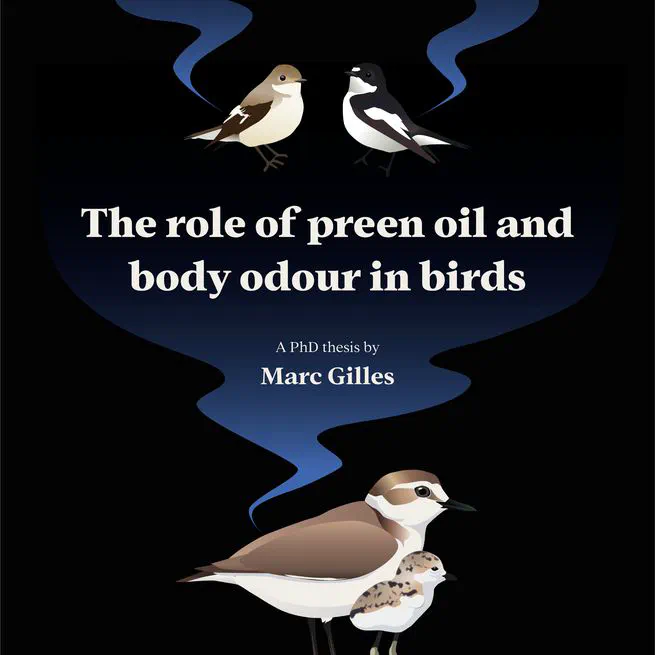 The role of preen oil and body odour in birds